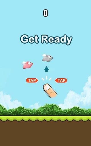 Flappy Pig截图3