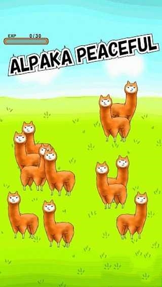 Alpaca截图2