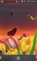 3D Butterfly Live Wallpaper 截图4