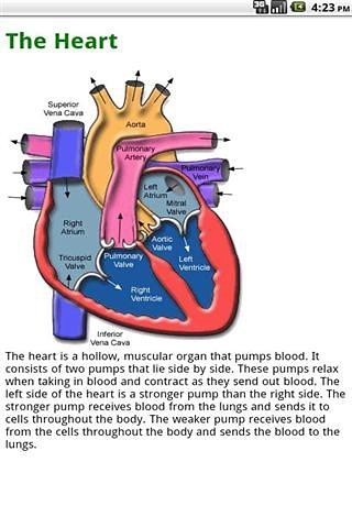 Human Body Systems截图4