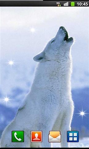 Wolf Song HD live wallpaper截图3