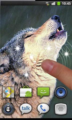 Wolf Song HD live wallpaper截图4