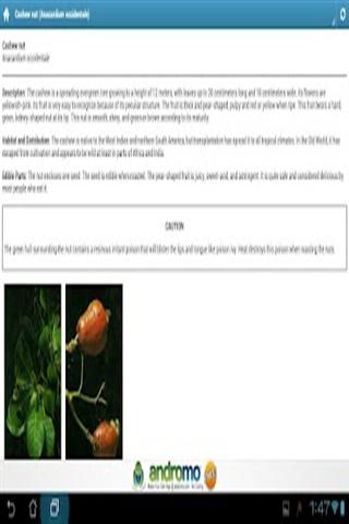 Edible and Medicinal Plants截图3