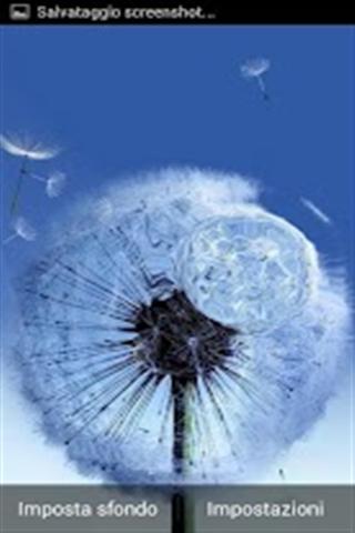 Galaxy S III Dandelion Live Wallpaper截图1