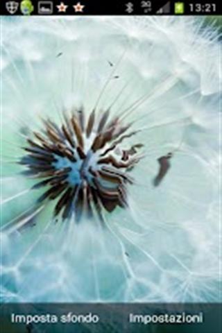 Galaxy S III Dandelion Live Wallpaper截图4