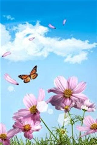 3D Flowers Wallpaper截图1