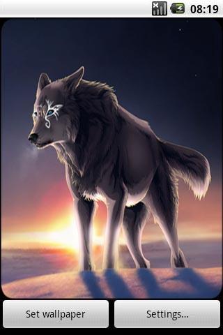 Wolves Live Wallpaper截图1