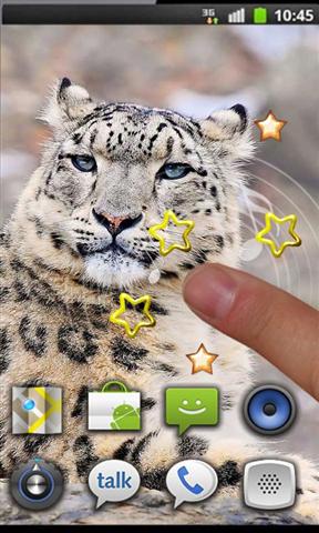 Snow Leopard Best HD LWP截图2