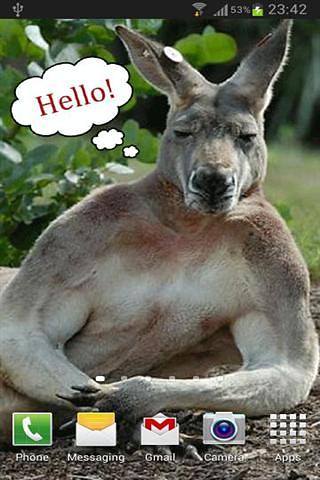 会说话的轻浮袋鼠 Talking Flirty Kangaroo截图2