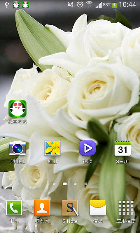 白玫瑰绿豆动态壁纸截图1